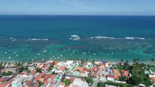 Sahil Koyu Suyu Brezilya Nın Kuzeydoğusundaki Ünlü Seyahat Noktasında Tropikal — Stok video