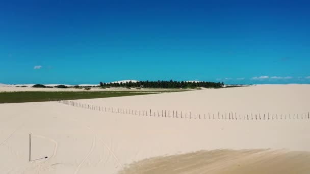 Вид Воздуха Жерикоара Сеара Бразилия Живописные Летние Дюны Пляжа Известном — стоковое видео