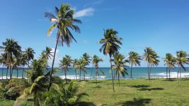 Σαλβαδόρ Μπαΐα Βραζιλία Τροπικός Προορισμός Ταξιδιού Διάσημοι Παγκόσμιοι Ταξιδιωτικοί Προορισμοί — Αρχείο Βίντεο