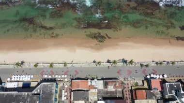 Bahia Brezilya 'nın Salvador eyaletinin şehir manzarası. Tropik turizm şehri. Kuzeydoğu Brezilya. Tatiller seyahat eder. Tropikal bölgeler.