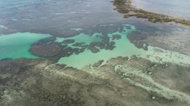 Sahil Koyu Suyu, Brezilya 'nın kuzeydoğusundaki ünlü seyahat noktasında. Tropikal manzarada ünlü sahil gezileri yerleri. Karayip Sahili.