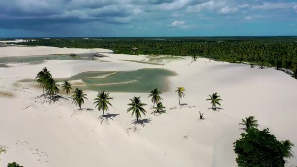 Jericoacoara Ceara Brazilië Luchtlandschap Van Tropische Strand Landschap Voor Vakantie — Stockvideo