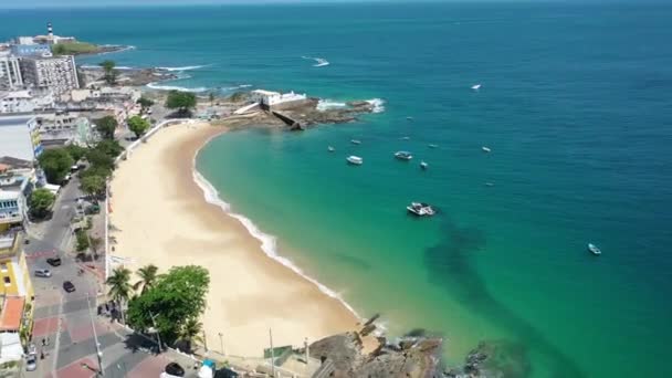 Brezilya Nın Kuzeydoğusunda Tropik Seyahat Yerleri Salvador Bahia Brezilya Tropik — Stok video