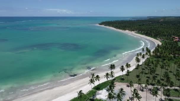 Seascape Bay Water Famous Travel Destination Northeast Brazil Coast Famous — Stock Video