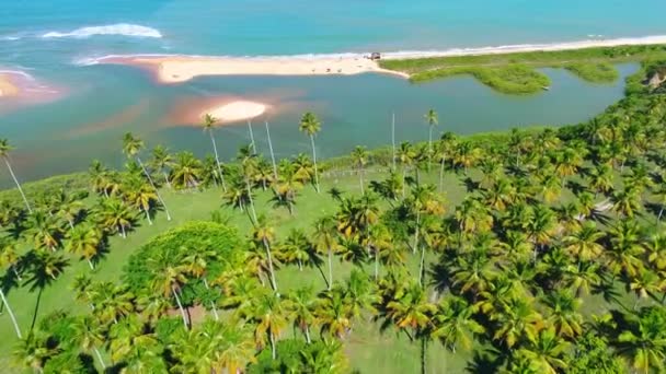 Trópusi Strand Nyári Táj Bahia Brazíliában Cumuruxatiba Beach Mérföldkő Brazíliában — Stock videók