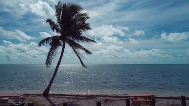 미국의 마이애미의 풍경을 공중에서 감상할 수있다 여행목적지 — 비디오