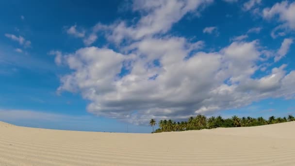 Praia Timelapse Cenário Tropical Destinos Viagem Verão Jericoacoara Ceará Brasil — Vídeo de Stock