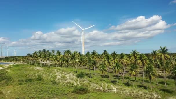 Nordeste Brasil Turbina Eólica Beach Estado Ceara Playa Con Dunas — Vídeo de stock
