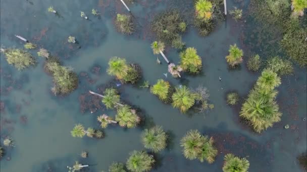 Luftaufnahme Des Aras Sees Bei Nobres Mato Grosso Brasilien Touristischer — Stockvideo