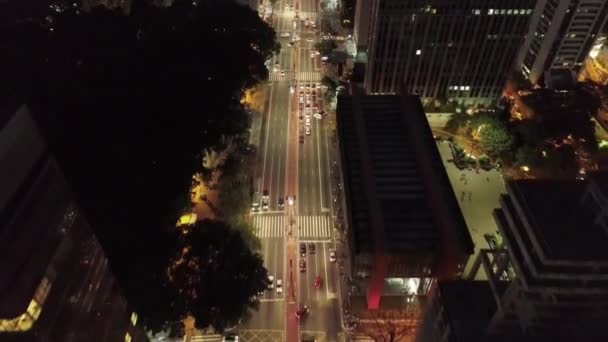 Night Downtown Sao Paulo Brazil Downtown District Night Life Scenery — Stock Video