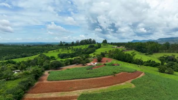 Landelijk Landelijk Uitzicht Het Landschap Vanuit Lucht Voorbereiding Teelt Landbouwlandschap — Stockvideo