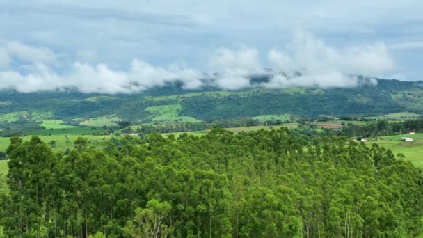 Landelijk Landelijk Uitzicht Het Landschap Vanuit Lucht Voorbereiding Teelt Landbouwlandschap — Stockvideo