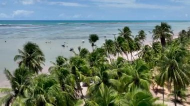 Sao Miguel dos Milagres Alagoas Brezilya 'daki Patacho plajı. Kuzeydoğu Brezilya. Mercan resifleri doğal havuzlar. Alagoas Brezilya 'daki Mucize Yolu. Tropik seyahat yerleri. Yaz mevsimleri.