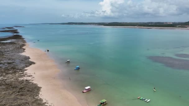 マラゴギ アラゴギ ブラジルのビーチでのジャパレーティング ブラジル北東部 サンゴ礁の自然プール アラゴアス ブラジルの奇跡の道 熱帯の旅行先 夏の目的地 — ストック動画