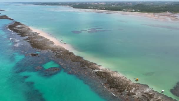 Japaratinga Pláž Maragogi Alagoas Brazílie Severovýchodní Brazílie Korálové Útesy Přírodní — Stock video