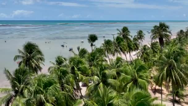 Пляж Патачо Сан Мігель Дос Мілаґрес Алагоас Бразилія Північно Східна — стокове відео