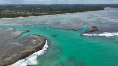Sao Miguel dos Milagres Alagoas Brezilya 'daki Patacho plajı. Kuzeydoğu Brezilya. Mercan resifleri doğal havuzlar. Alagoas Brezilya 'daki Mucize Yolu. Tropik seyahat yerleri. Yaz mevsimleri.