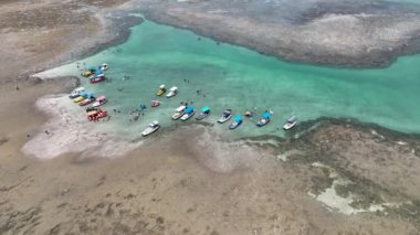 Mercan resifleri Alagoas Brezilya 'daki Sao Miguel dos Milagres Sahili' nde doğal havuzlardır. Alagoas Brezilya 'daki Mucize Yolu. Tropik seyahat yerleri. Yaz mevsimleri.
