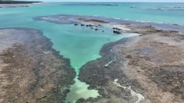 Kuzeydoğu Brezilya. Alagoas Brezilya 'daki Sao Miguel dos Milagres Plajı. Alagoas Brezilya 'daki Mucize Yolu. Tropikal seyahat hedefi.