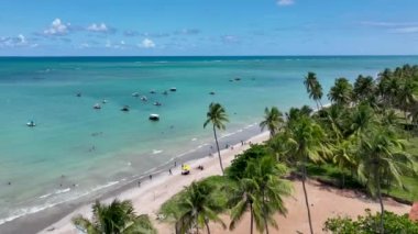 Alagoas Brezilya 'daki Sao Miguel dos Milagres Plajı. Alagoas Brezilya 'daki Mucize Yolu. Tropik seyahat rotası. Kuzeydoğu Brezilya.