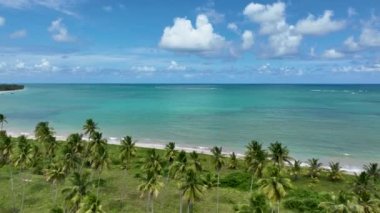 Kuzeydoğu Brezilya. Alagoas Brezilya 'daki Sao Miguel dos Milagres Plajı. Alagoas Brezilya 'daki Mucize Yolu. Tropikal seyahat hedefi.