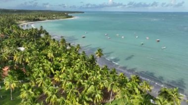 Kuzeydoğu Brezilya. Alagoas Brezilya 'daki Sao Miguel dos Milagres Plajı. Alagoas Brezilya 'daki Mucize Yolu. Tropikal seyahat hedefi.