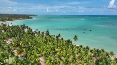 Alagoas Brezilya 'daki Sao Miguel dos Milagres Plajı. Alagoas Brezilya 'daki Mucize Yolu. Tropik seyahat rotası. Kuzeydoğu Brezilya.