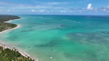 Kuzeydoğu Brezilya. Alagoas Brezilya 'daki Sao Miguel dos Milagres Plajı. Alagoas Brezilya 'daki Mucize Yolu. Tropikal seyahat hedefi.
