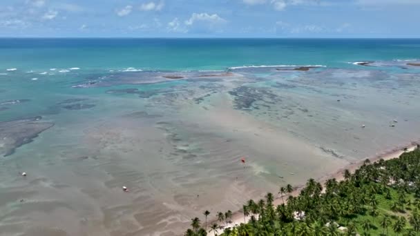サンミゲル ミラグレス アラゴアス ブラジルのパタチョビーチ ブラジル北東部 サンゴ礁の自然プール アラゴアス ブラジルの奇跡の道 熱帯の旅行先 夏の目的地 — ストック動画