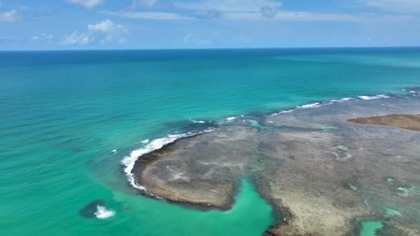 Sao Miguel Dos Milagres Alagoas Brezilya Daki Patacho Plajı Kuzeydoğu — Stok video