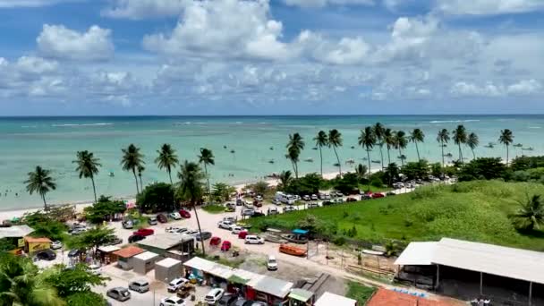 Północno Wschodnia Brazylia Plaża Sao Miguel Dos Milagres Alagoas Brazylia — Wideo stockowe