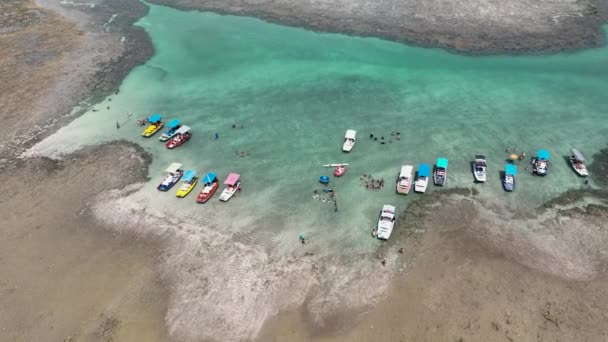 Коралловые Рифы Природные Бассейны Пляже Сан Мигель Дус Милагрес Алагоас — стоковое видео