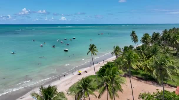 Plaża Sao Miguel Dos Milagres Alagoas Brazylia Cudowny Szlak Alagoas — Wideo stockowe