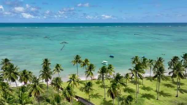Plaża Sao Miguel Dos Milagres Alagoas Brazylia Cudowny Szlak Alagoas — Wideo stockowe
