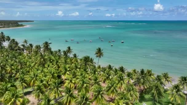 Brasile Nord Orientale Spiaggia Sao Miguel Dos Milagres Alagoas Brasile — Video Stock
