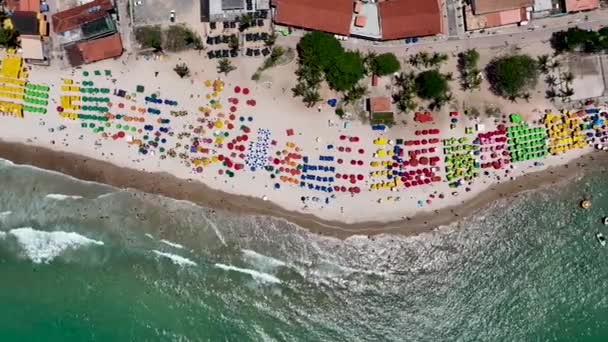 Vue Aérienne Plage Eau Turquoise Maceio Alagoas Brésil Site Touristique — Video