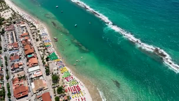 Site Touristique Tropical French Beach Maceio Alagoas Brésil Plage Historique — Video