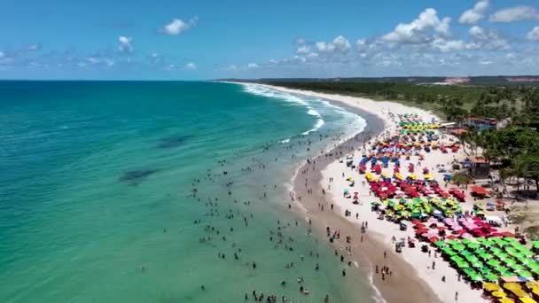 Monumento Turístico Tropical French Beach Maceio Alagoas Brasil Playa Emblemática — Vídeo de stock