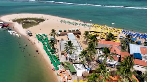 Monumento Turístico Tropical Gunga Beach Maceio Alagoas Brasil Playa Emblemática — Vídeo de stock