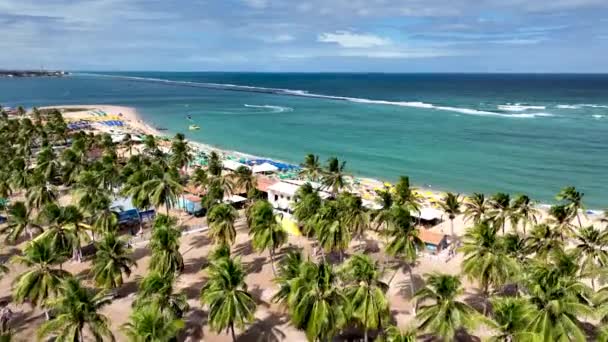 Gunga Beach Marco Turístico Tropical Maceio Alagoas Brasil Praia Referência — Vídeo de Stock