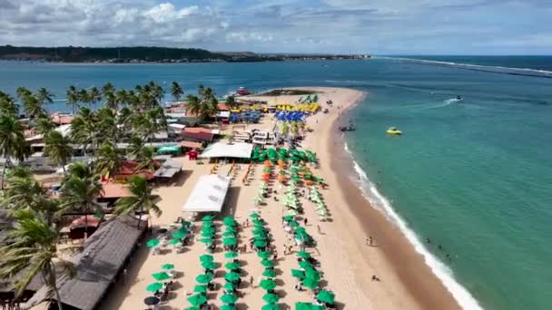 巴西Maceio阿拉戈斯绿松石水滩的空中俯瞰镜头 位于巴西Maceio阿拉戈斯的贡加海滩旅游地标 放松的风景 巴西东北海滩 — 图库视频影像