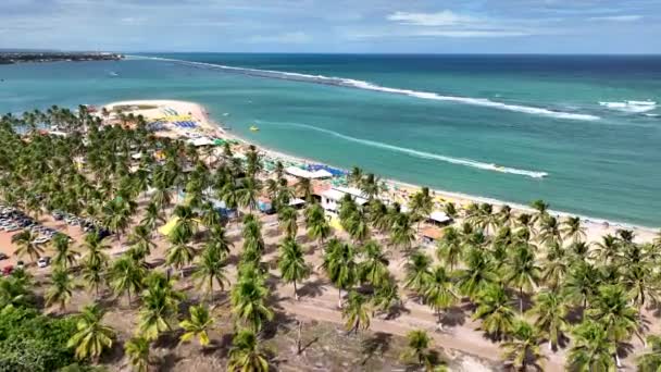 Gunga Beach Tropisk Turism Landmärke Maceio Alagoas Brasilien Landmärke Stranden — Stockvideo