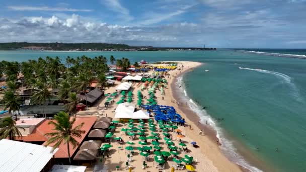 マセオ アラゴアス ブラジルのガンガビーチ熱帯観光のランドマーク ブラジル北東部のランドマークビーチ 熱帯旅行 目的地 — ストック動画