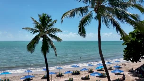 Maceio Alagoas Brasil Lugares Interés Turístico Alagoas Brasil Playa Emblemática — Vídeo de stock