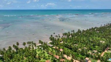 Alagoas Brezilya 'daki Sao Miguel dos Milagres Plajı. Brezilya Kuzeydoğusu. Sahildeki kumsalda manzaralı palmiye ağaçları. Tropik bir manzara. Yaz manzarası.