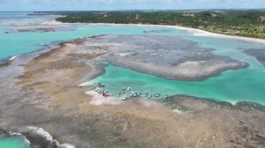 Sahildeki kumsalda manzaralı palmiye ağaçları. Alagoas Brezilya 'daki Sao Miguel dos Milagres Plajı. Tropik bir manzara. Yaz manzarası. Brezilya Kuzeydoğu.