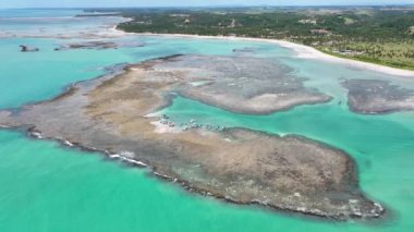 Alagoas Brezilya 'daki Sao Miguel dos Milagres Plajı. Brezilya Kuzeydoğusu. Sahildeki kumsalda manzaralı palmiye ağaçları. Tropik bir manzara. Yaz manzarası.