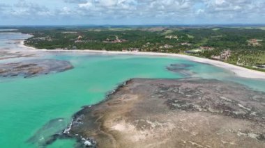Alagoas Brezilya 'daki Sao Miguel dos Milagres Plajı. Brezilya Kuzeydoğusu. Sahildeki kumsalda manzaralı palmiye ağaçları. Tropik bir manzara. Yaz manzarası.