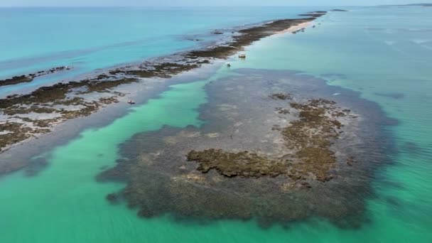 Пляж Япаратінга Марагогі Алагоас Бразилія Північно Східна Бразилія Коралові Рифи — стокове відео