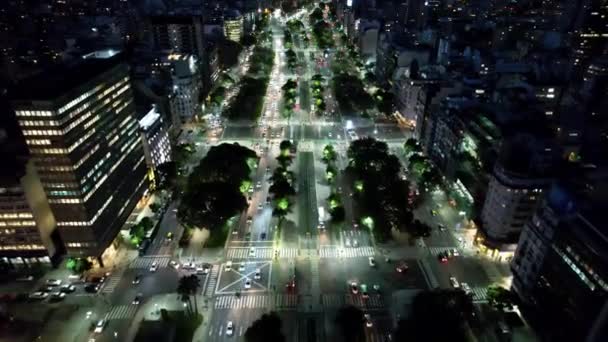 Cityscape Buenos Aires Argentina Panorama Landscape Tourism Landmark Downtown Capital — Vídeo de stock